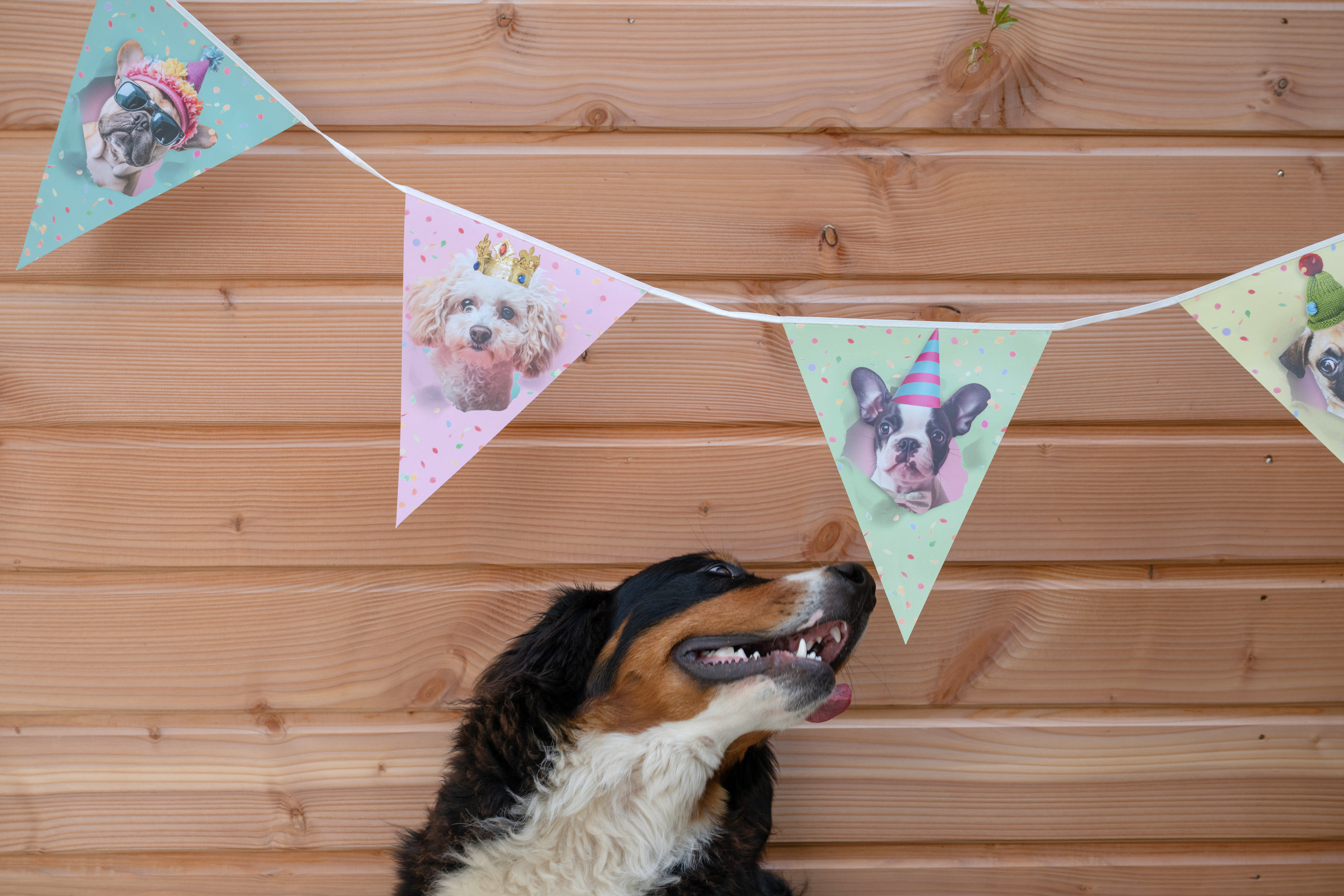 Carousel image '7.jpg'